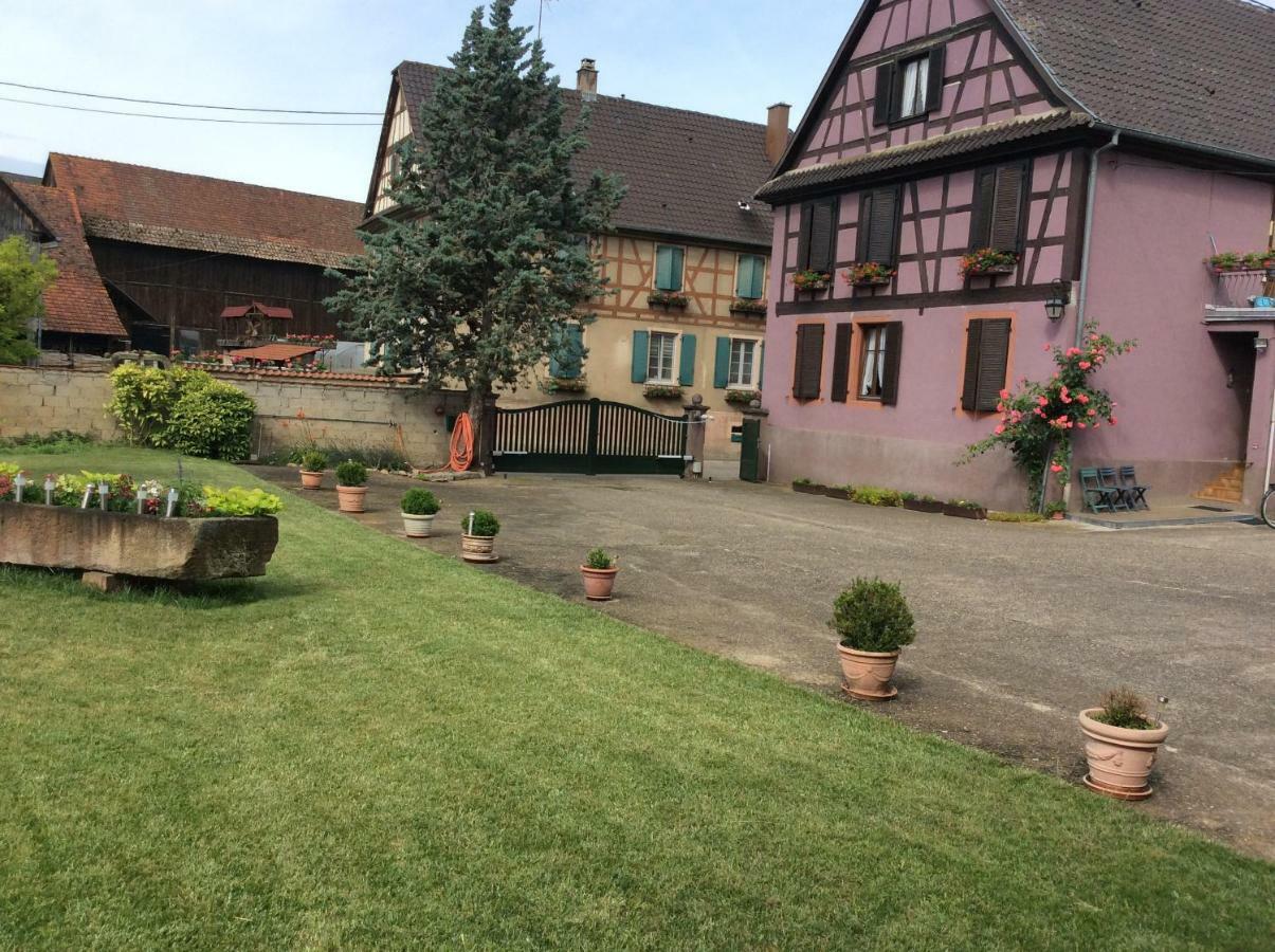 Gite Heinrich Ebersheim Экстерьер фото